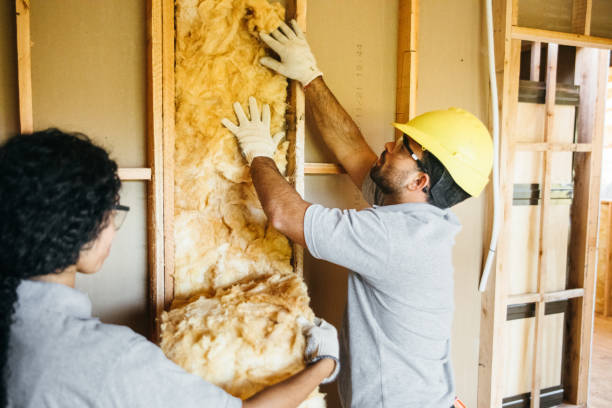 Types of Insulation We Offer in Exmore, VA